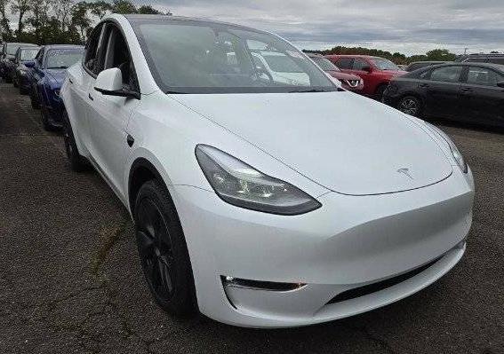 TESLA MODEL Y 2024 7SAYGDEE3RA302472 image